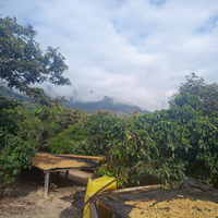 Bolivia: Grover Machaca