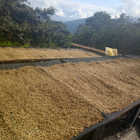 Bolivia: Grover Machaca