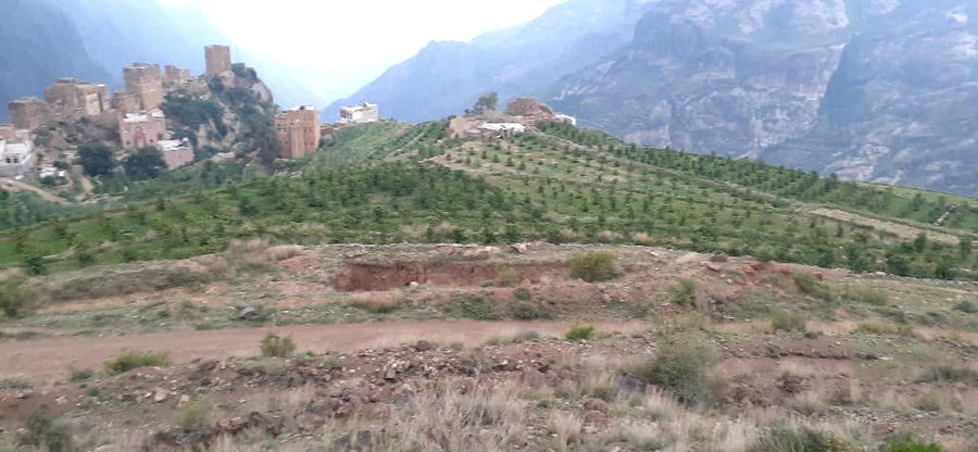 Yemen: Zahra & Bani Murra 125g