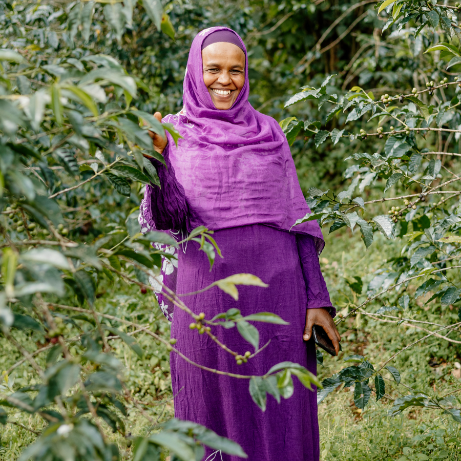 Ethiopia: Nesru Aba Nura, JARC 74110, Natural - Ozone Coffee Roasters
