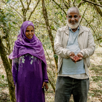 Ethiopia: Nesru Aba Nura, JARC 74110, Natural - Ozone Coffee Roasters