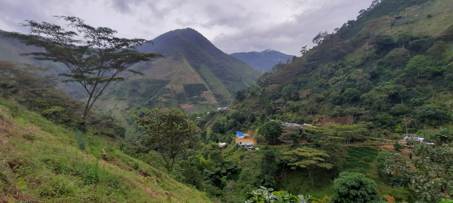 Bolivia: La Avanzada