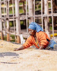 Rwanda: Mehembe, Murundo Farm
