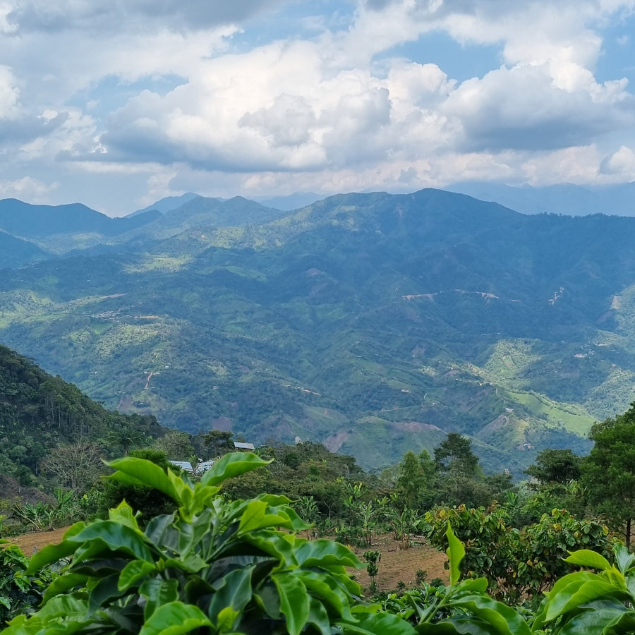 The view from Agua Azul, San Antonio de Chingama, Cajamarca, Peru | ozonecoffee.co.uk