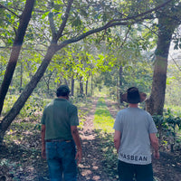 Francisco Flores and Ozone Green Buyer Roland Glew walking together on Finca El Bosque in Amatitlán, Guatemala