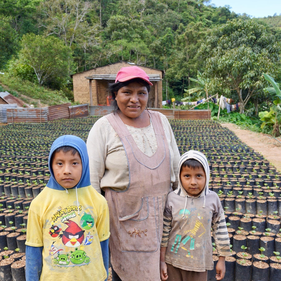 Daisy Paye Mamani and her 2 sons photographed at Volcán del Tigre, Copacabana, Bolivia | ozonecoffee.co.uk