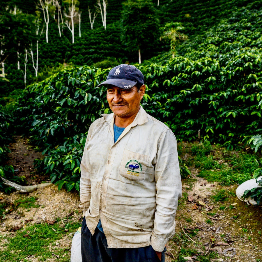 Gregorio Paye Mamani. Volcán del Tigre, Copacabana, Bolivia | ozonecoffee.co.uk