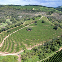 Ipanema Fazenda Rio Verde Premier Cru B65 Peach. Alfenas, Minas Gerais, Brazil. Hasbean.co.uk
